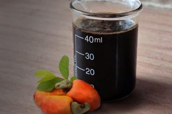 Cashew Nut Shell Liquid (CNSL)